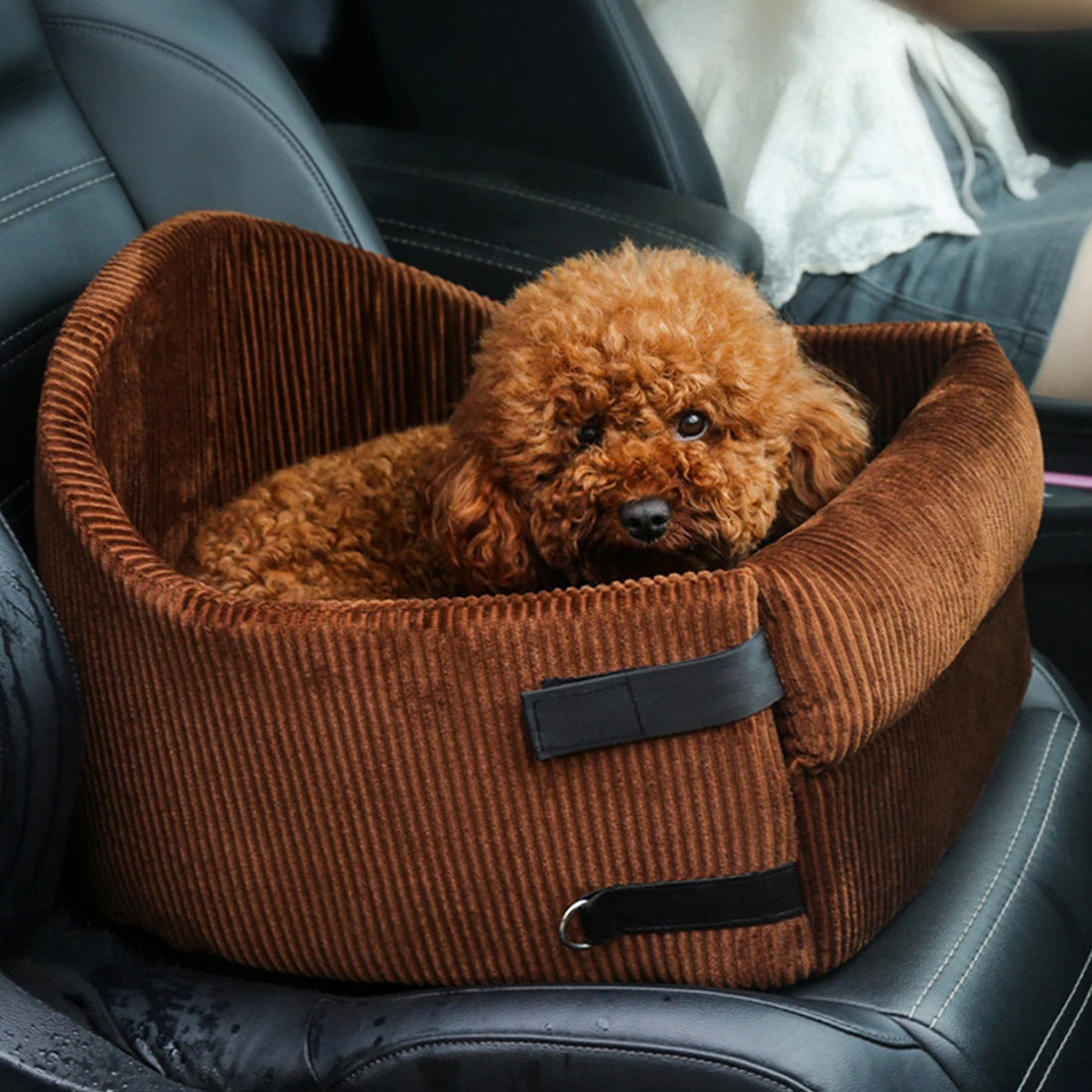 Pup Passenger Pod